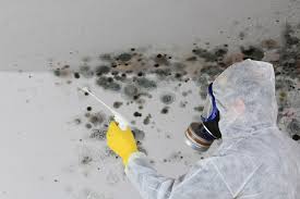 Best Crawl Space Mold Remediation  in West Simsbury, CT